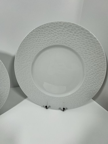 (2) Piatti grandi bianchi modello Apilco Porcelaine France "Aqua" 12,25" - Foto 3 di 10