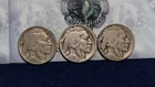 Lot of 3 Buffalo Nickels 5c 1919 D, 1923 S & 1925 D