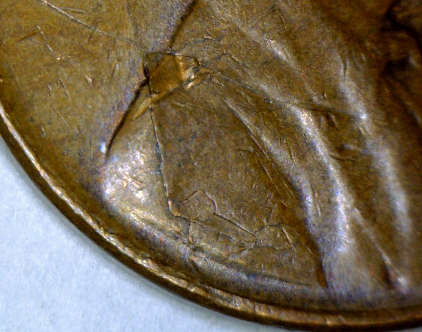 Picture 4 of 5