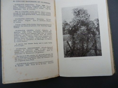 AN ESSAY ON LANDSCAPE PAINTING 1936 2nd ed - Kuo Hsi - Foto 3 di 7