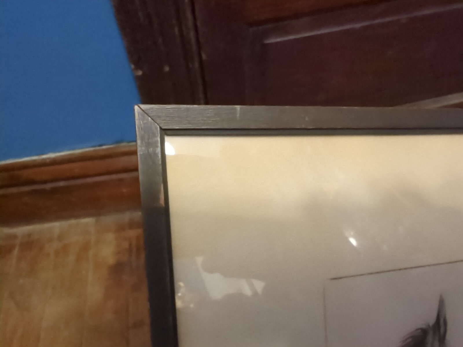 Picture 7 of 11