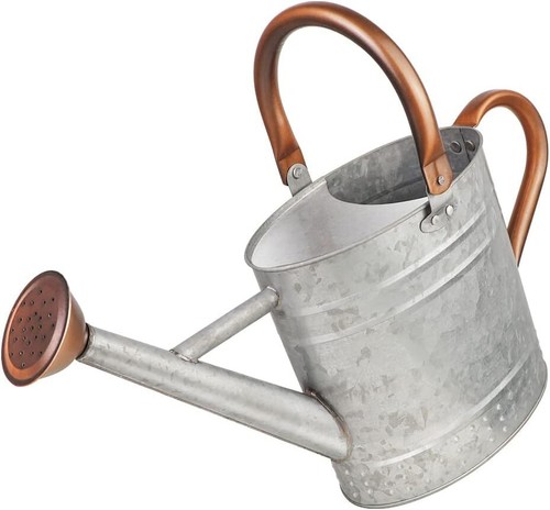 0.6gal Galvanized Steel Watering Can with Powder Coat Finish Merlot - Threshold™ - Picture 4 of 8