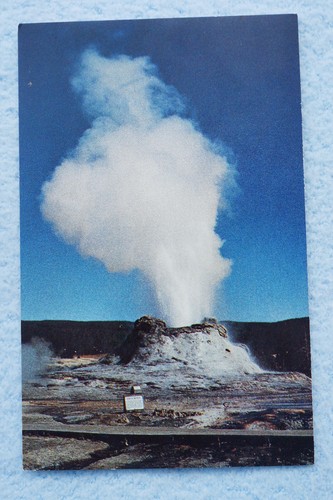 Castillo Geyser - Parque Nacional de Yellowstone - Wyoming - Imagen 1 de 2