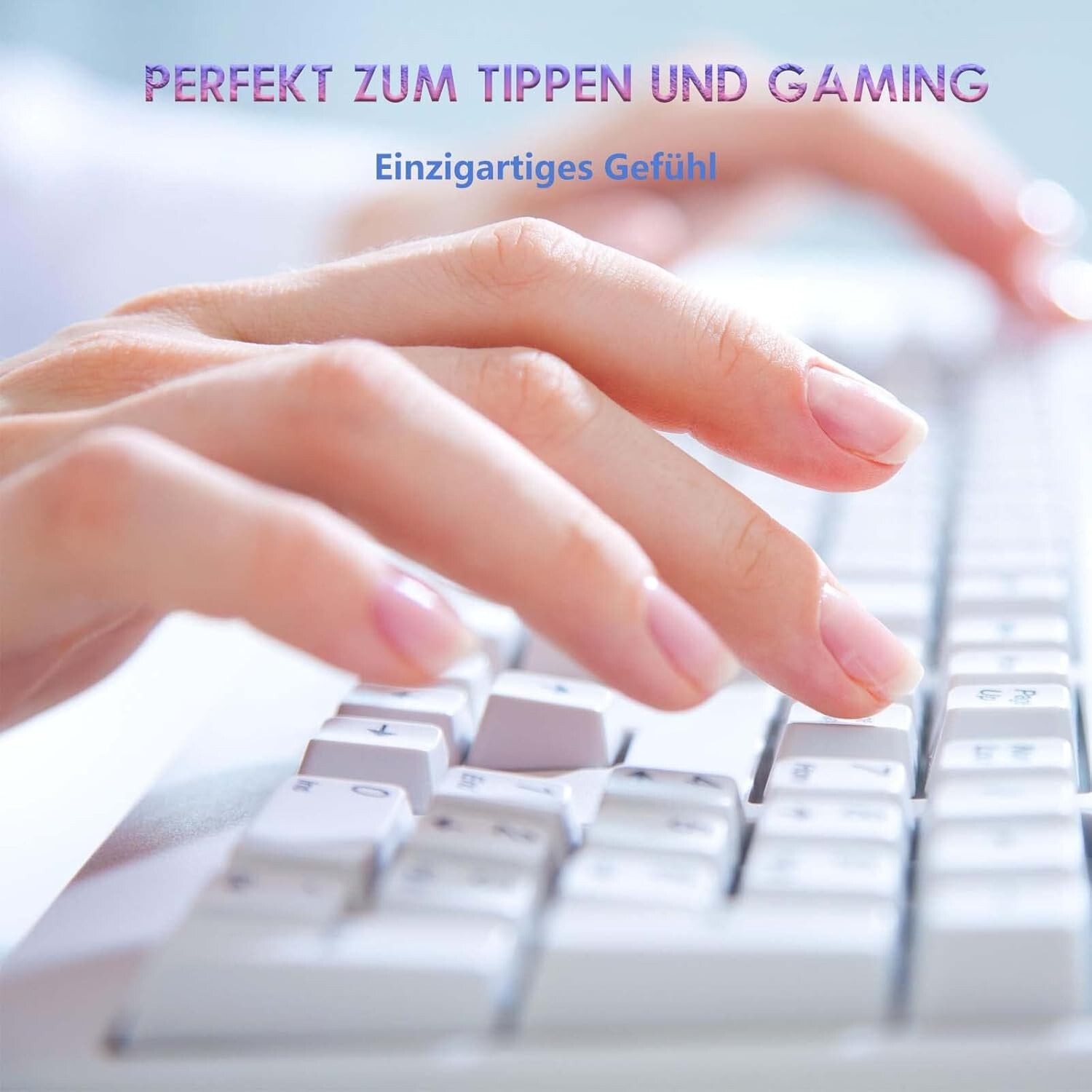 Bild 7 von 8