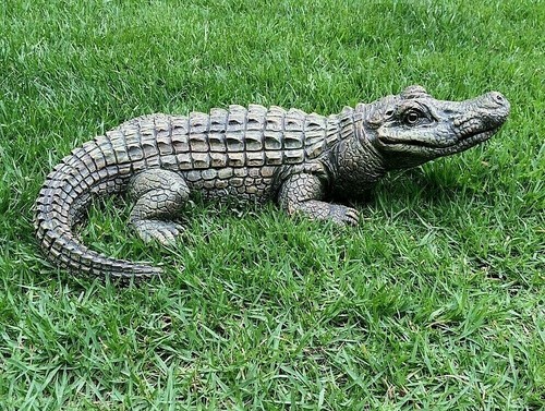 Realistic Alligator Gator Sculpture Statue Lifelike Yard Pool Garden Pond Figure