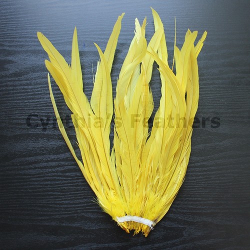 Plumas de cola COQUE de gallo teñido de 12-14" de largo 25 un.16+ colores para elegir, ¡Nuevo! - Imagen 17 de 17