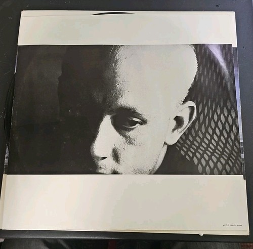 Dead Or Alive - Mad Bad And Dangerous To Know Vinyl LP EX Epic AL 40572 VTG  - Picture 6 of 6