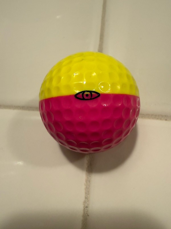 Collector’s Favorite-Ping Eye Karsten Yellow/Pink Variety-Awesome! Mint!