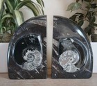 XL Black Marble Bookends 3.4kg Fossil ammonite goniatite orthoceras 