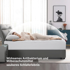 Bild 2 von 12
