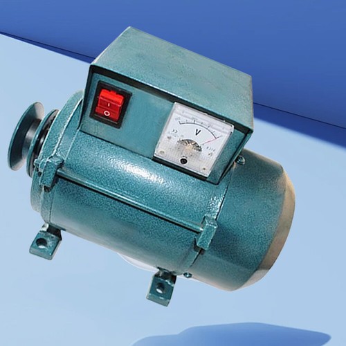220V High Power 1800W Small Pulley Type Permanent Magnet Lighting Generator - Picture 13 of 15