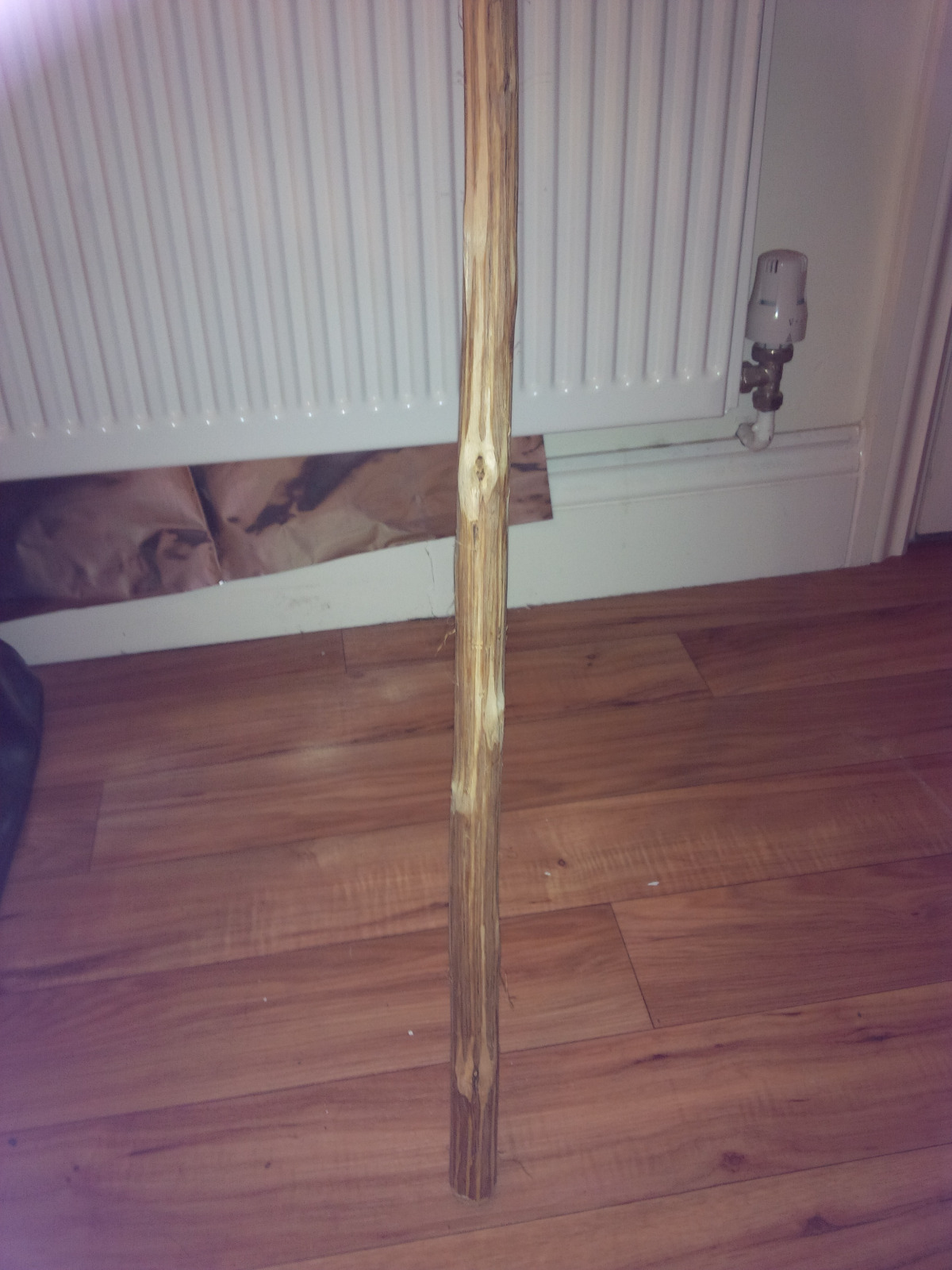 Picture 3 of 6