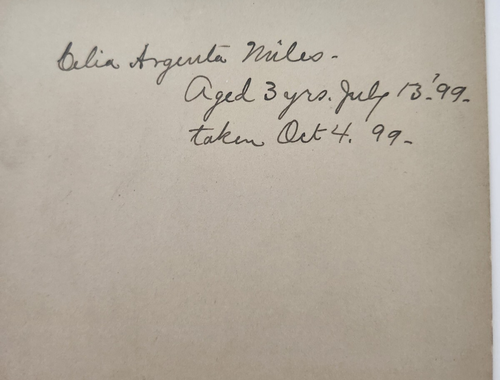 Lote de 5 Fotos Niños Familia Gabinete Tarjeta Enmarcada Nebraska 1899 – 1909 - Imagen 5 de 14