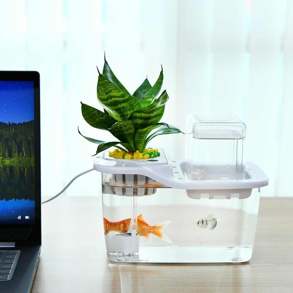 Mini Ecosystem Hydroponics Fish Tank Water Garden Ecological Fish Tank Mini Ecosystem Hydroponics Fish Tank Water Garden Ecological Fish Tank