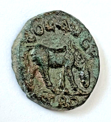 Ancient Roman Coin Gallienus 253-268 AD. Bronze Alexandria Troas Grazing Horse - 第 4/11 張圖片