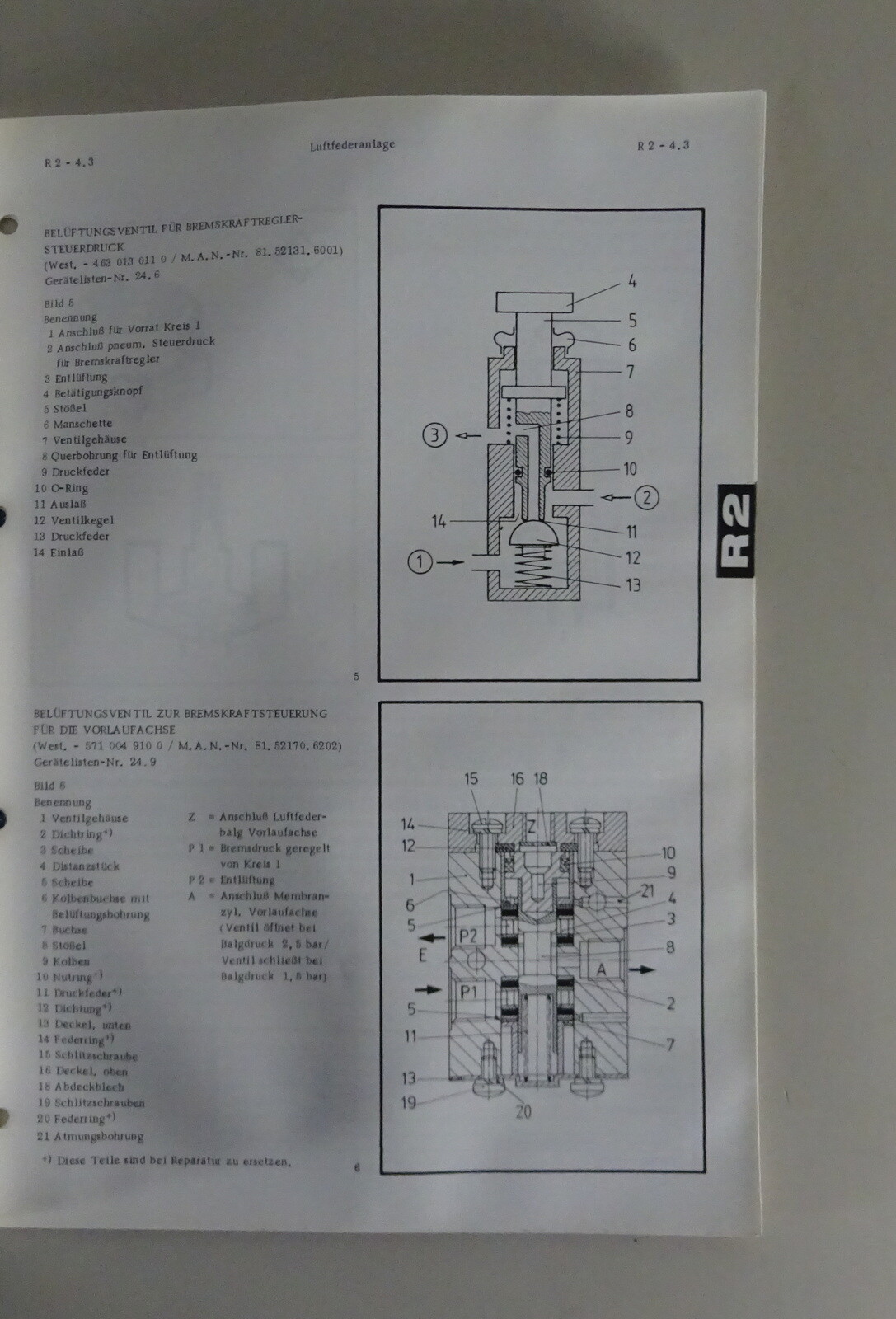 Picture 6 of 6