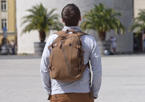 ROOGU Land Turtle * Rucksack Damen Herren 25l Stadt Schule Uni Arbeit Laptopfach - Picture 7 of 8