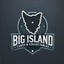 Big Island Cards and Collectables