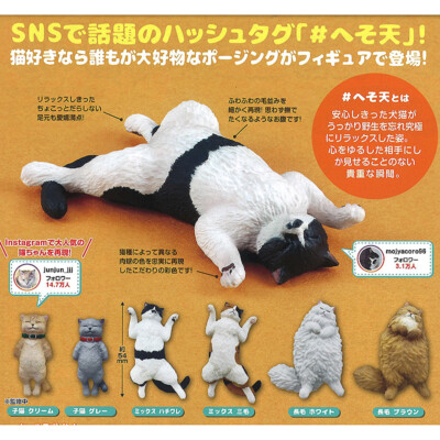 Spread Eagle Nyan Cats & Kittens Sprawling Mini Figure Collection
