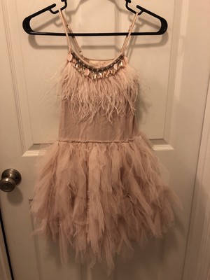Swan queen tutu dress Clearance