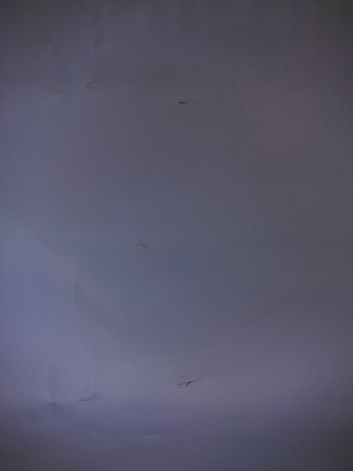 Picture 10 of 12