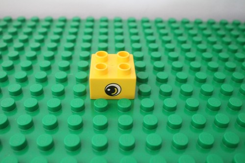 Duplo 2x2 Patrón Impresión Ladrillo U ELIGE UNA SOLA Foto Disney Ojo Globo Presente Abeja - Imagen 16 de 99