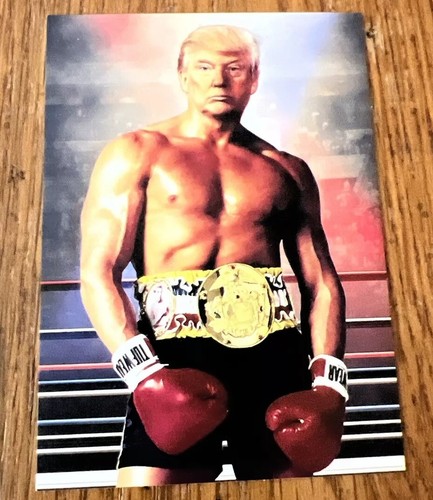 President Donald Trump” Get Hit Keep Moving Forward Facsimile Custom Aceo Card - Picture 1 of 2