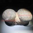 Picture 2 of 11