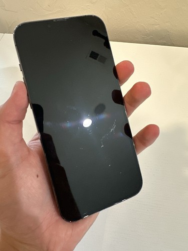 iPhone 13 Pro Max 256GB (Entsperrt) - Bild 4 von 4