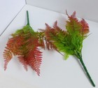 Bild 6 von 11
