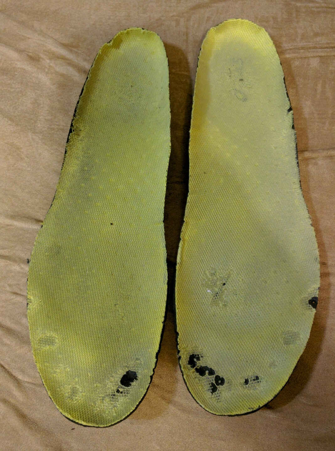 Picture 8 of 12