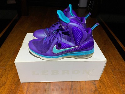 lebron 9 summit lake hornets