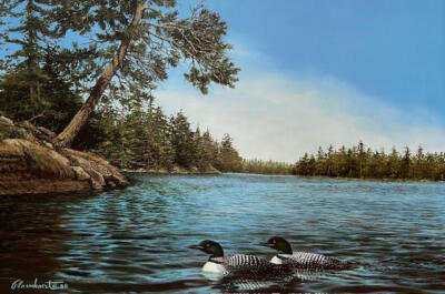Richard Plasschaert - Northland Treasures - Loon - Excellent Condition S/N Litho