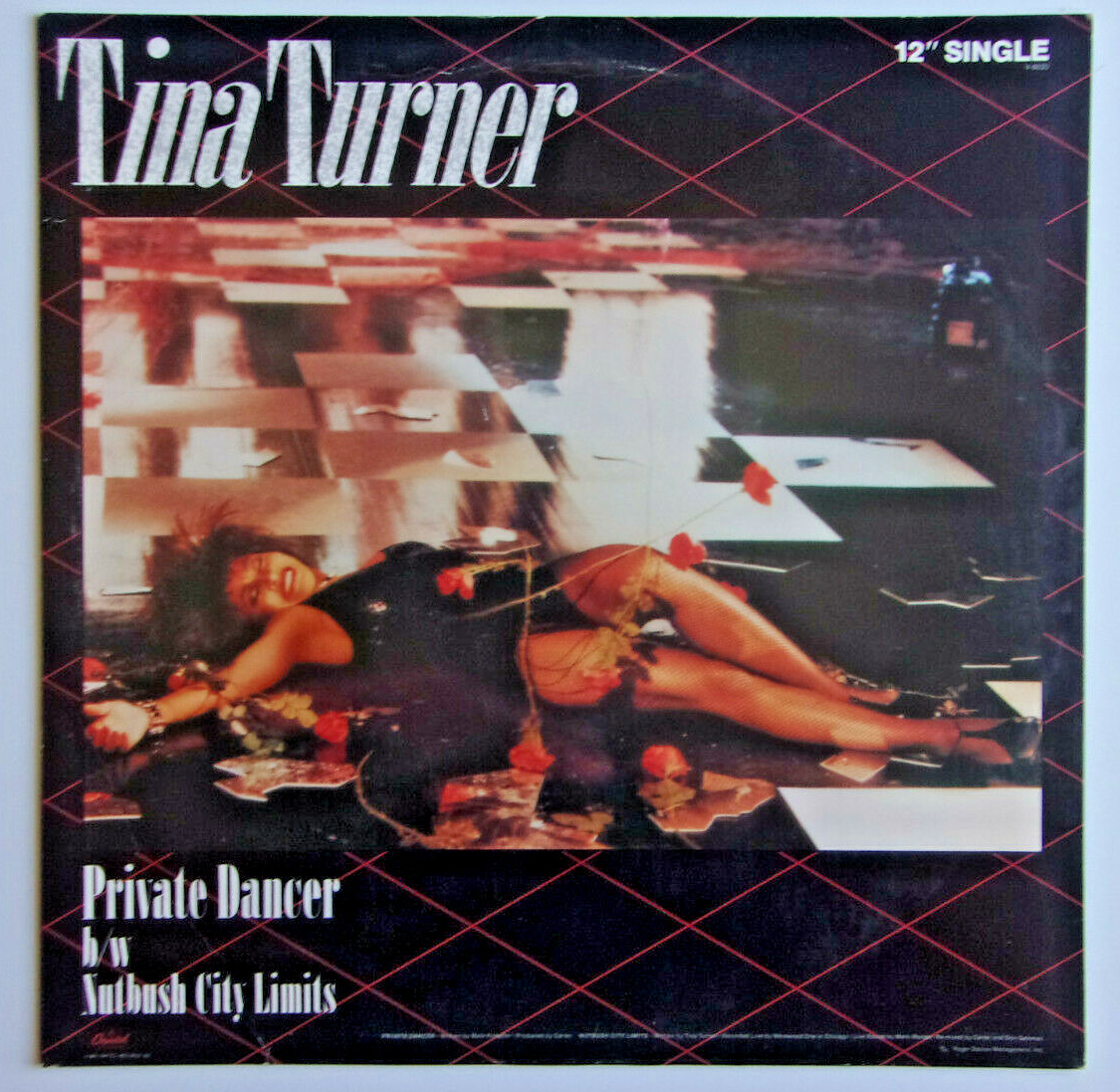 TINA TURNER - Private Dancer - Vinyl 12