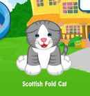 Webkinz Classic Scottish Fold Cat *Code Only* Promokinz