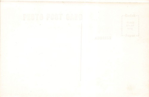 Dickeyville Wisconsin Steingrotte RPPC Postkarte LP66 - Bild 2 von 2