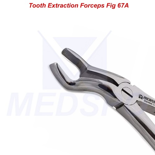 Tooth Extraction Forceps Fig 67A Upper Wisdom Dental Extracting Surgical Tools - Picture 3 of 5