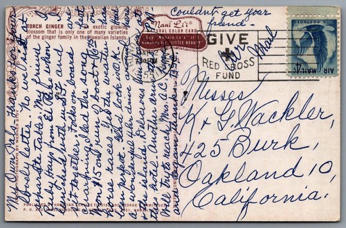 Torch Ginger Hawaii Postcard - Picture 2 of 2