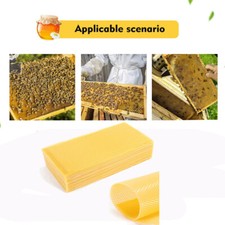 30pcs Beekeeping Honeycomb Wax Frames & Foundation Bee Hive 415mm