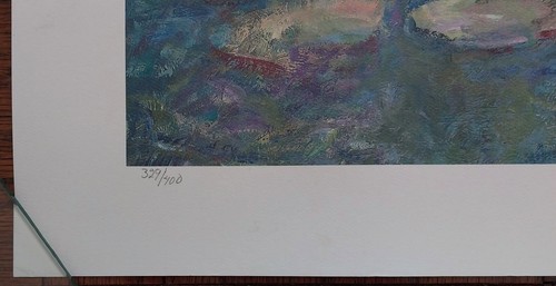 Impresión artística firmada por Ander Kase - edición limitada 329/400 - almohadillas de lirio de 24"x30" - Imagen 5 de 6