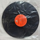 Foto 7 di 10