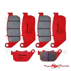 Pastiglie freno Posteriori Brembo Harley Davidson XL 883 C Sportster Custom 2007