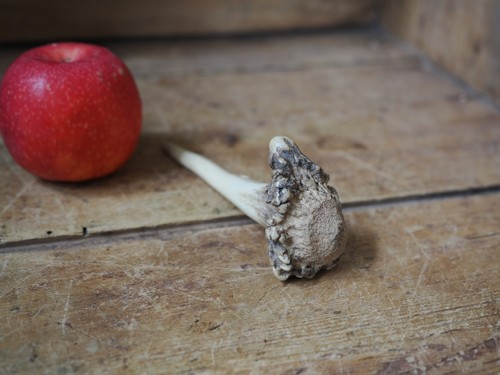 Antique Antler Awl Tool Primitive - Picture 2 of 8