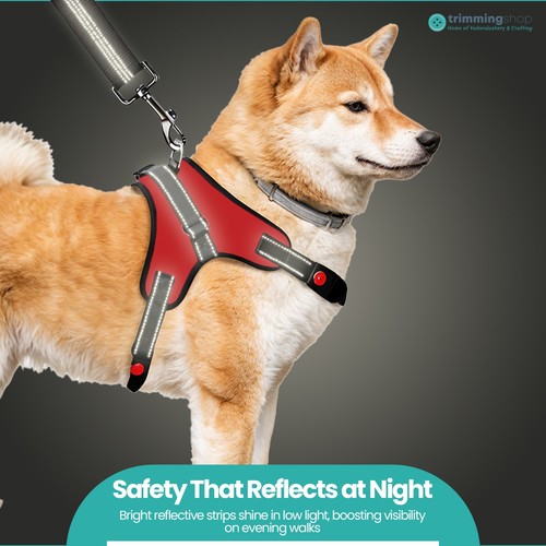 Imbracatura per Cani di Piccola Media Grande No Pull Anti Tirare Forte e Regolabile - Foto 38 di 60