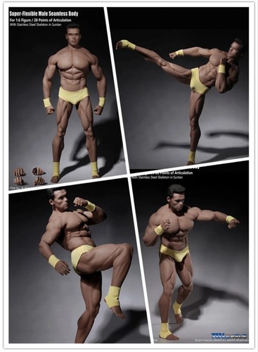 TBLeague PL2016-M34 1/6 Modèle Corps Musculaire Sans Couture Homme Super Forte Flexible - Photo 4/12