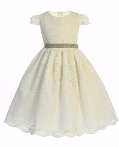 Exquisite-Ivory-Lace-Flower-Girl-Party-Pageant-Dress-Crayon-Kids-USA