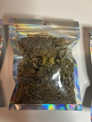#ad #ad MYSTERY Nugget Paydirt Mini Bag Guaranteed Gold CHANCE FOR PICKERSNUGGETS $4.99