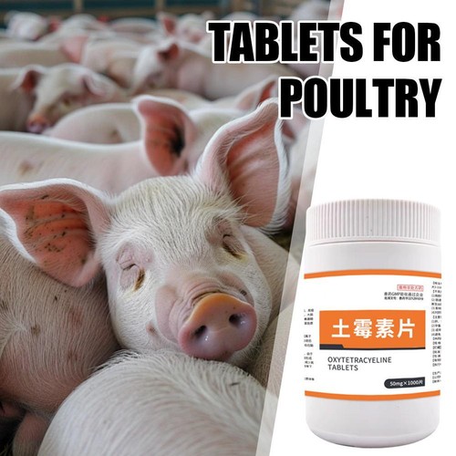 50mg X 1000 Pcs Oxytetracyeline Tablets for Poultry Cat Gog Chichen Bird H E4L7 - Imagen 6 de 11