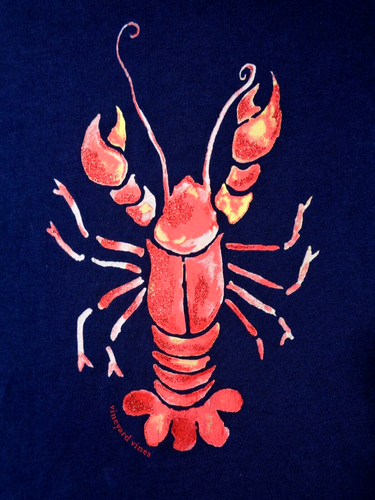 Vineyard Vines Girls Long Sleeve Shirt Small Navy Blue Lobster Graphic Print - Picture 3 of 4