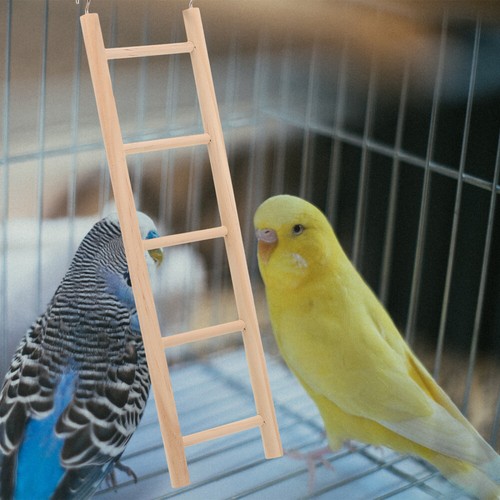 Fournitures descalade perroquet échelle oiseau perruche perchoir animal jouet en vente bois